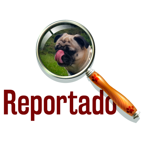 Mascotas-reportado.png