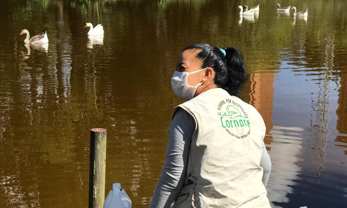 Expertos De Cornare Determinaron El Porqu De La Coloraci N Del Lago