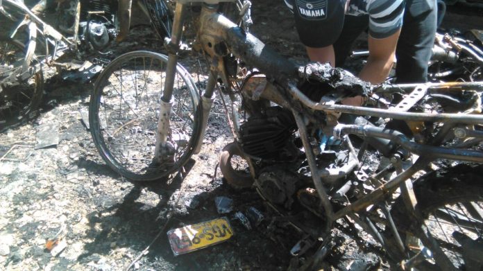 WhatsApp-Image-20160607_6