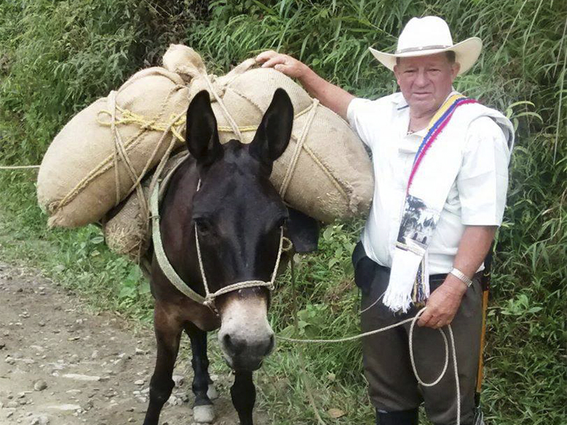 Campesino de Argelia representa Antioquia en foro "Café y ...