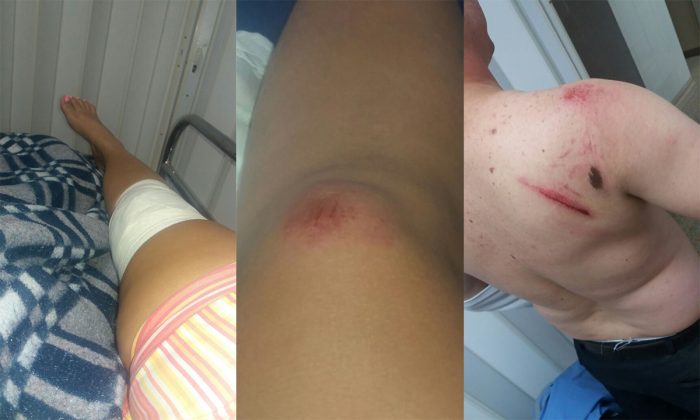 agentestránsitoagredidos