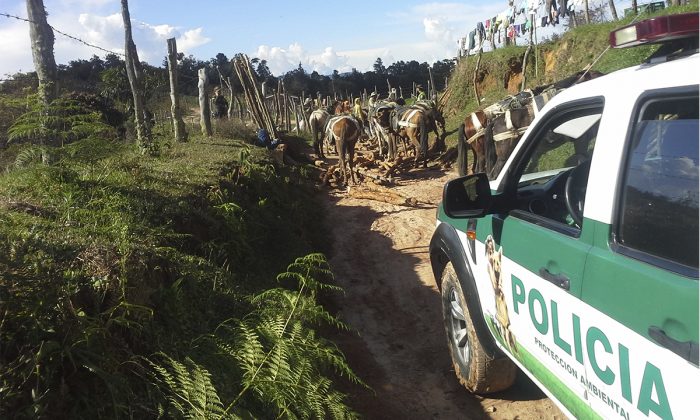 detenidoselsantuario3