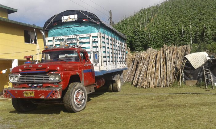 detenidoselsantuario5