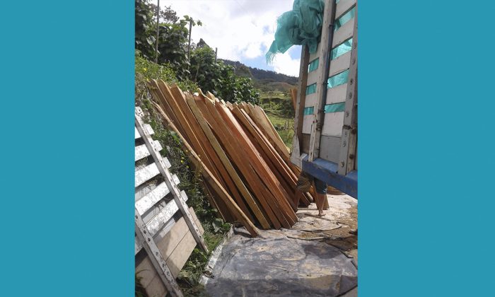 detenidoselsantuario6