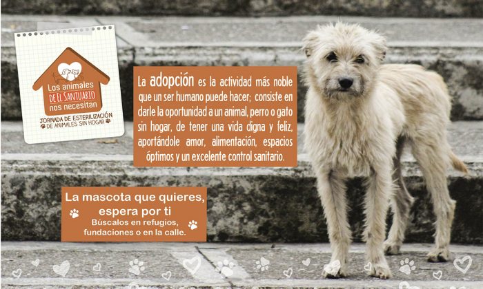 jornadadeesterilización