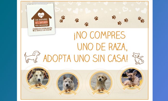 jornadadeesterilización3