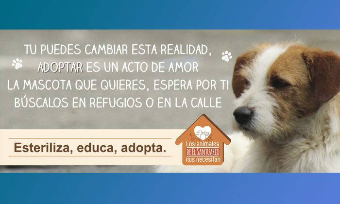 jornadadeesterilización4