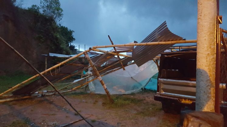 vendaval Alejandría 11