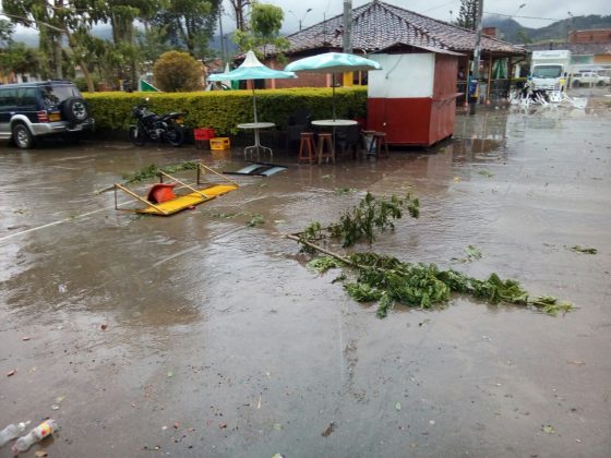 vendaval Alejandría 12