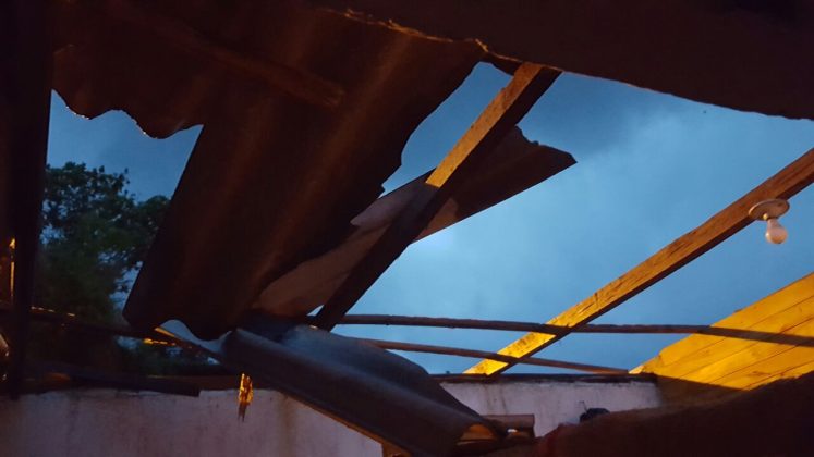 vendaval Alejandría 5