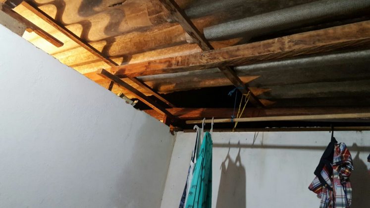 vendaval Alejandría 6