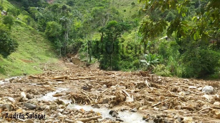 avalancha San Carlos 3