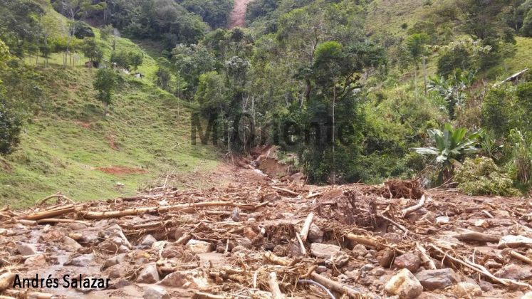 avalancha San Carlos 4