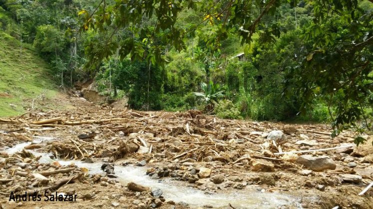 avalancha San Carlos 5