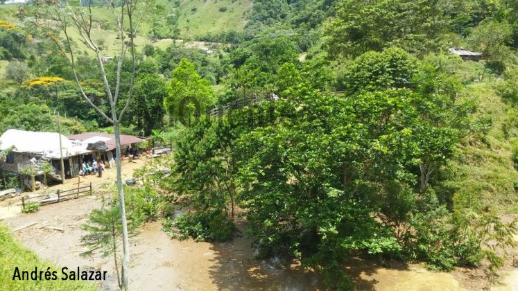 avalancha San Carlos 6