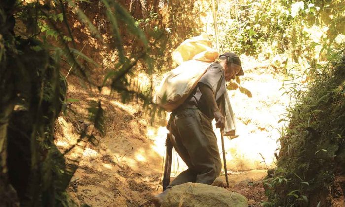 No tiene pies tiene cascos 1