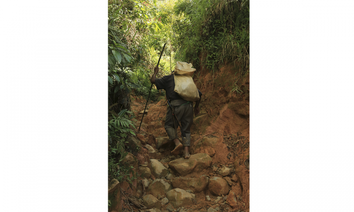 No tiene pies tiene cascos 3