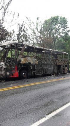 WhatsApp Image 2016 11 11 at 9.02.15 AM 1