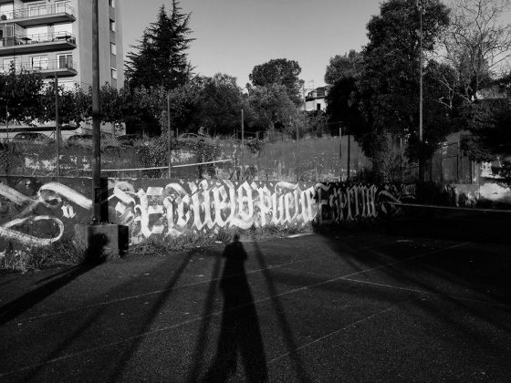 16105637 10210177567528270 38926239007351479 n