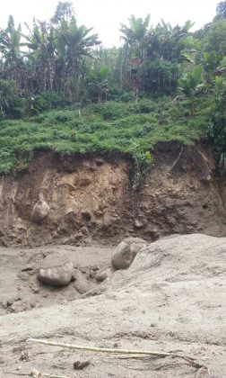 WhatsApp Image 2017 03 21 at 16.49.51