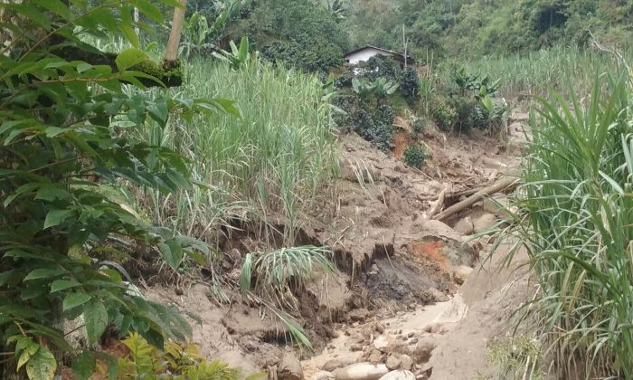 WhatsApp Image 2017 03 21 at 16.49.53 1