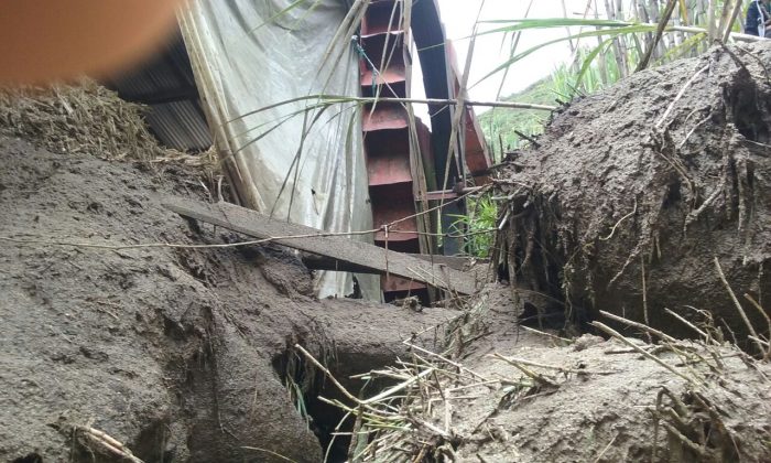 WhatsApp Image 2017 03 21 at 16.49.54 2