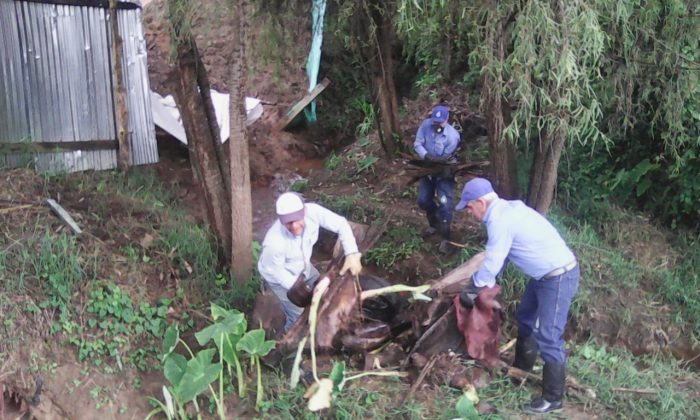 WhatsApp Image 2017 04 11 at 10.49.13 AM