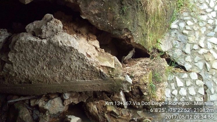 WhatsApp Image 2017 05 13 at 11.57.34 1