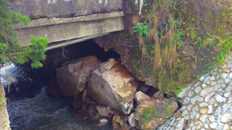 WhatsApp Image 2017 05 13 at 11.57.34