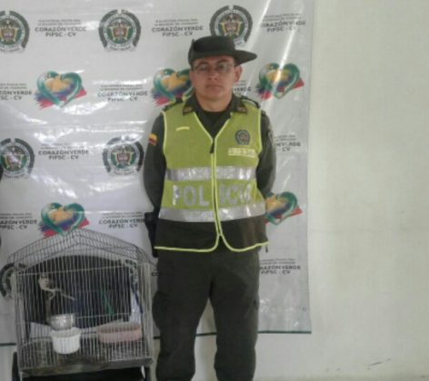 WhatsApp Image 2017 05 23 at 11.51.54