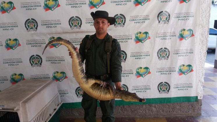 WhatsApp Image 2017 05 23 at 11.51.56