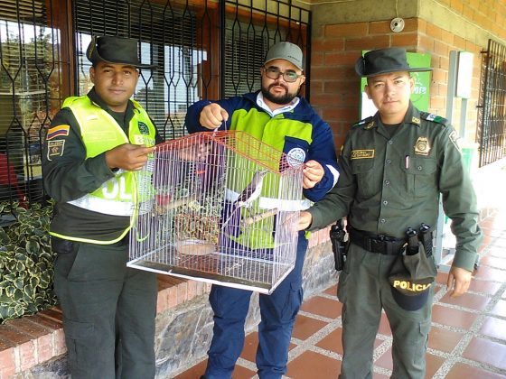 WhatsApp Image 2017 05 23 at 11.51.59