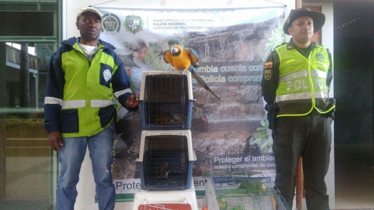 WhatsApp Image 2017 05 23 at 11.52.01 1