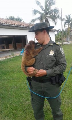 WhatsApp Image 2017 05 23 at 11.52.01