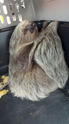 WhatsApp Image 2017 07 12 at 11.22.20