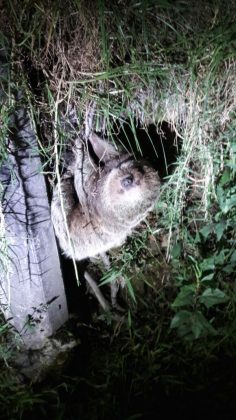 WhatsApp Image 2017 07 12 at 11.22.21