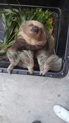 WhatsApp Image 2017 07 12 at 11.22.23