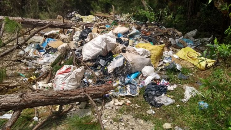 WhatsApp Image 2017 07 23 at 17.14.24