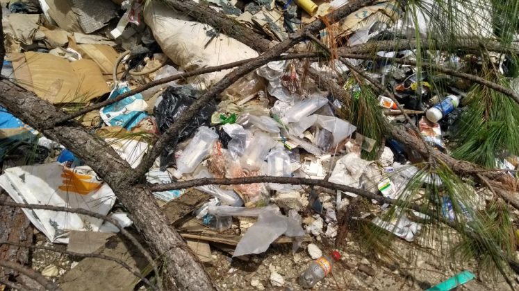 WhatsApp Image 2017 07 23 at 17.15.26