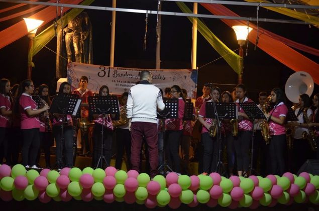 Encuentro Departamental de Bandas Musicales 4