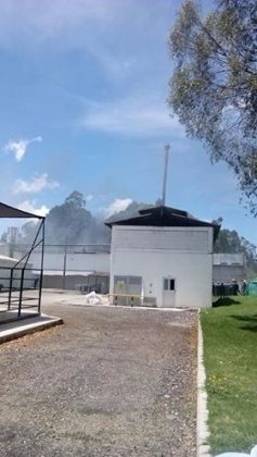 WhatsApp Image 2017 08 22 at 11.31.24 AM