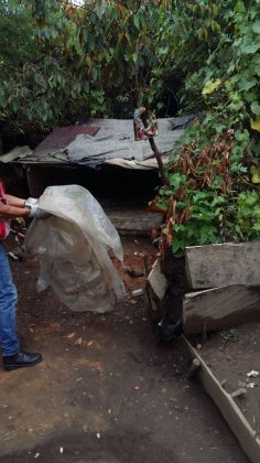 WhatsApp Image 2017 08 28 at 15.37.20