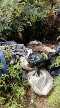 WhatsApp Image 2017 08 28 at 15.37.23