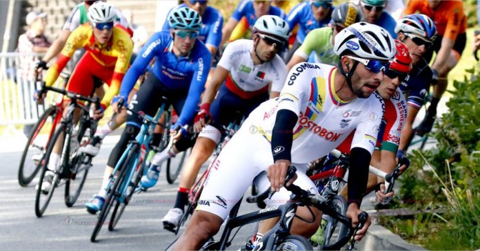 fernando-gaviria-web