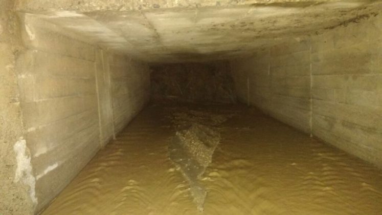 WhatsApp Image 2017 09 05 at 2.05.25 PM