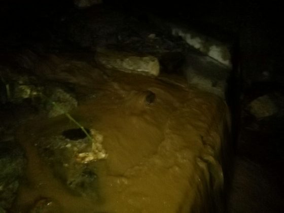 WhatsApp Image 2017 09 05 at 2.05.27 PM 1