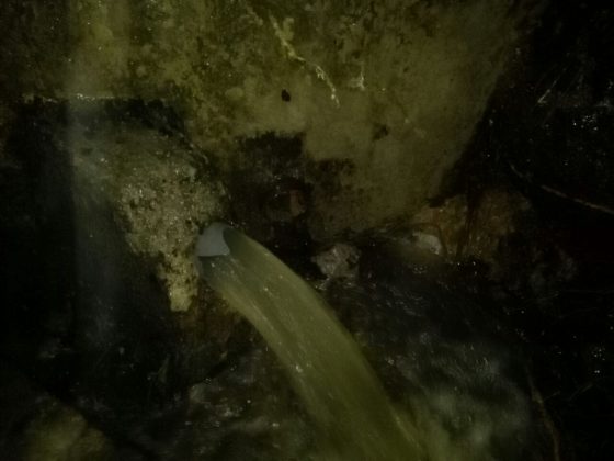 WhatsApp Image 2017 09 05 at 2.05.27 PM