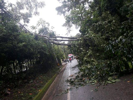 WhatsApp Image 2017 10 03 at 09.55.18 1