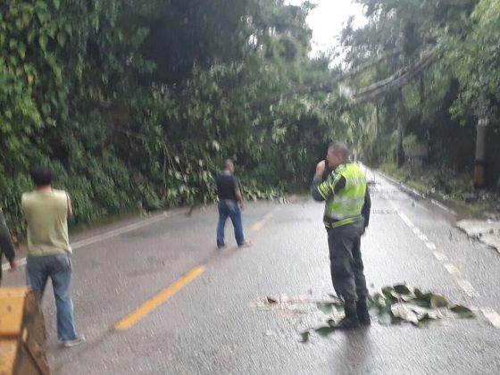 WhatsApp Image 2017 10 03 at 09.55.19