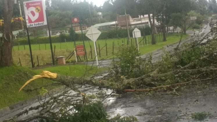 WhatsApp Image 2017 11 07 at 4.02.03 PM 1